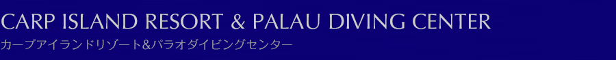 CARP ISLAND RESORT & PALAU DIVING CENTER J[vACh][g&pI_CrOZ^[