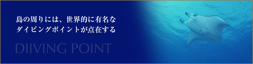 -美しい海に時を忘れるダイバー達のあこがれの島-CARP ISLAND RESORT