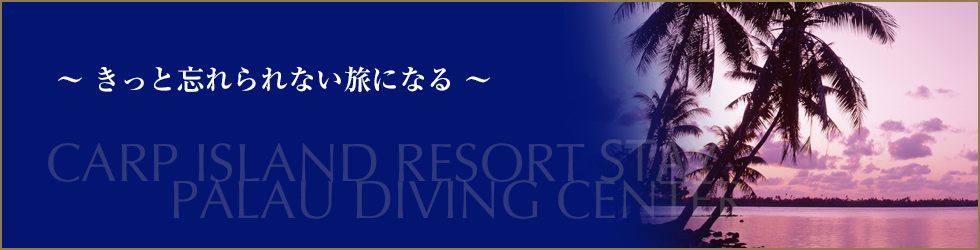 きっと忘れられない旅になる