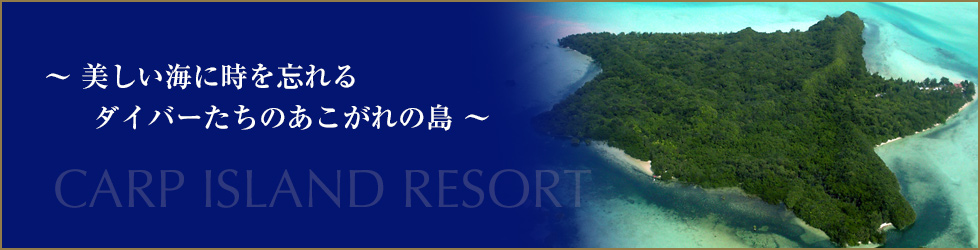 -CɎY_Co[B̂̓-CARP ISLAND RESORT